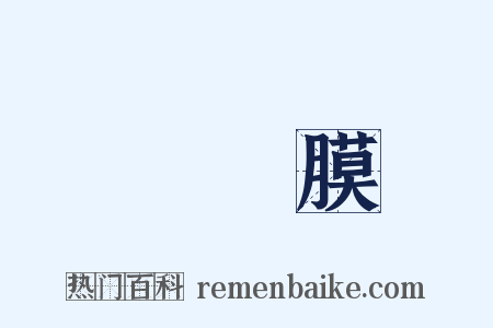 脈絡膜是什么意思的图片